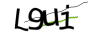 Enter the character string shown in the picture